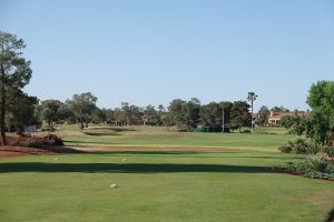 Palm Valley 10th